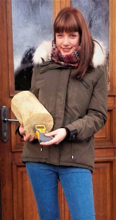 Brennholz-Handel-Schroen